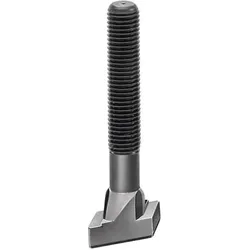 Amf, Schrauben, Rhombusschraube Nr.797 T-Nut 18mm M16 L.100mm Güte 8.8