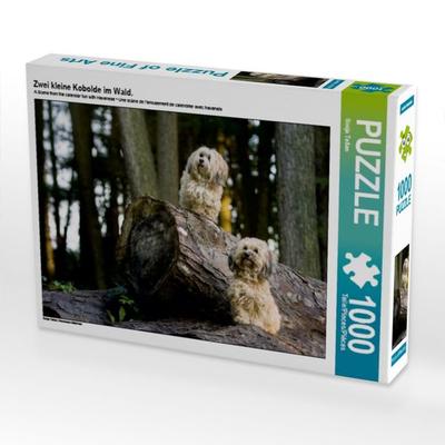 CALVENDO Puzzle Zwei kleine Kobolde im Wald. | 1000 Teile Lege-Größe 64x48cm Foto-Puzzle für glückliche Stunden