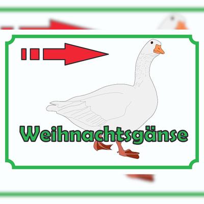 HB-Druck Weihnachtsgans Verkaufsschild Schild Pfeil nach rechts A4 (210x297mm)