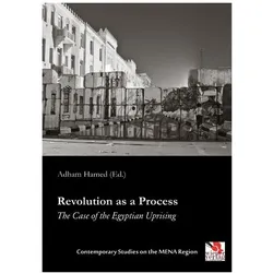 Revolution as a Process, Fachbücher von Adham Hamed