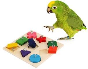 Pet Hub Colorful Wooden Block Parrot IQ Training Toys: Safe, Educational Bird Toy Supplies A