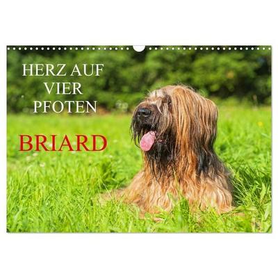 Herz auf vier Pfoten - Briard (Wandkalender 2027 DIN A3 quer), CALVENDO Monatskalender