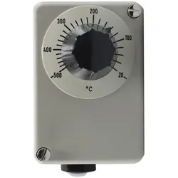 Jumo Temperaturregler 60002113