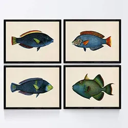 POSTER Set mit 4 Fischwirkung Jahrgang grüner blauer Ton A3 Rahmenlos