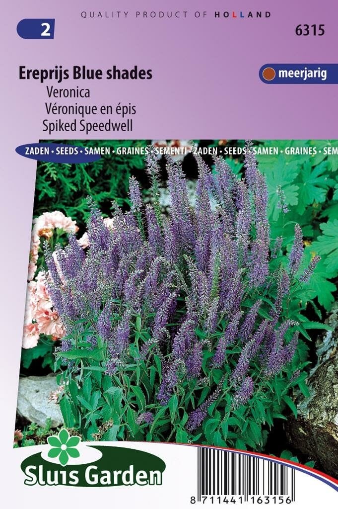 Sluis Garden Veronica Spicata zaden Blue Shades