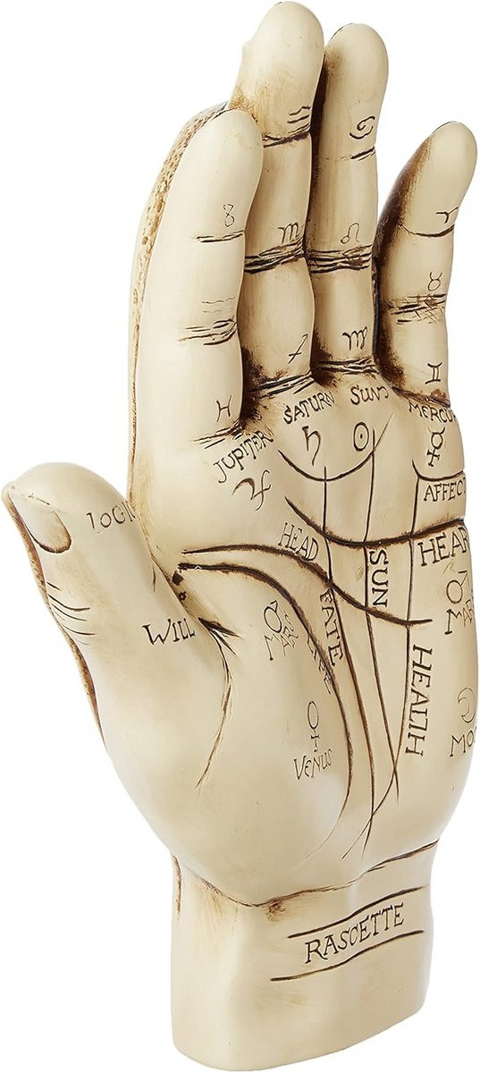 Decoratieve Handpalm Figuur voor Handlezen of Decoratie