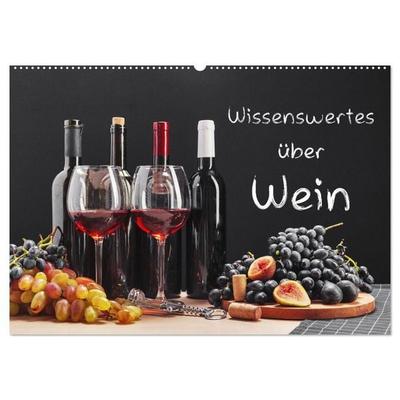 Wissenswertes über Wein (Wandkalender 2026 DIN A2 quer), CALVENDO Monatskalender