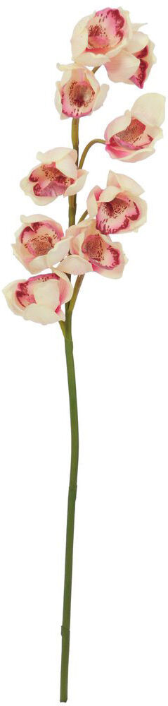 Europalms Cymbidiumzweig, Creme-Pink, 90cm