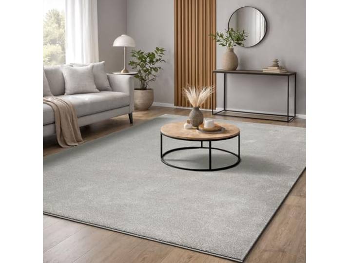 the carpet Marley\, Tapis Élégant de Designer\, Tapis de Salon\, À Poils Courts\, Doux\, Facile d'entretien\, Élégant\, Uni\, Argent\, 200 x 290 cm