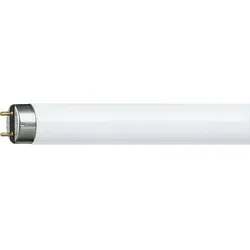Philips Leuchtstofflampe "MASTER TL-D Super 80" 1200mm 36W/840