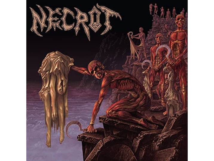 Necrot - Mortal