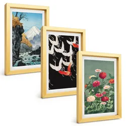 BILDER SET 3er Set - 20x30 cm Goldrahmen - Berge, Wasserfälle, Vögel, Blumen