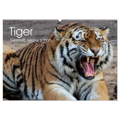 Tiger. Gestreift, wild u. schön (Wandkalender 2027 DIN A2 quer), CALVENDO Monatskalender