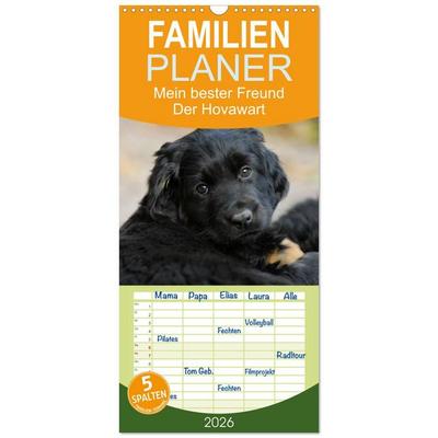 Familienplaner 2026 - Mein bester Freund - Der Hovawart mit 5 Spalten (Wandkalender, 21 x 45 cm) CALVENDO