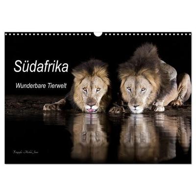 Südafrika wunderbare Tierwelt (Wandkalender 2026 DIN A3 quer), CALVENDO Monatskalender