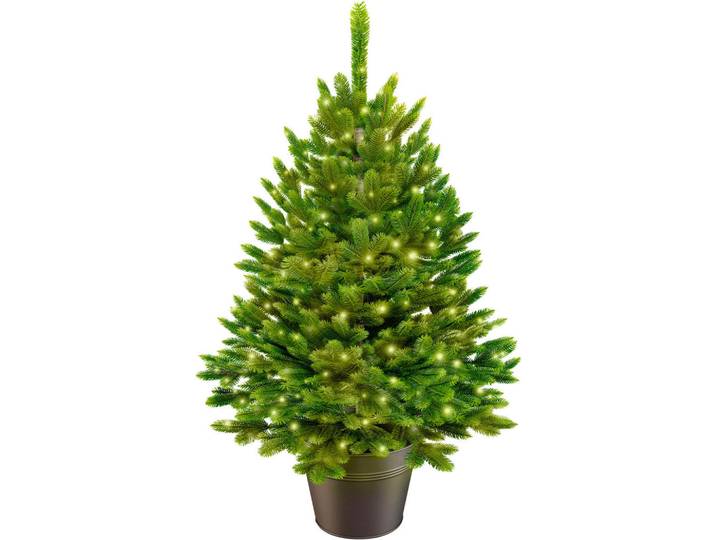 Weihnachtsbaum, Metall, 80 cm, Dekoration, Weihnachtsdekoration, Christbaum & Zubehör