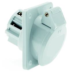 Bals Elektrotechnik 4216 4216 CEE Anbaudose 32.0 A 2polig 50 V 1 St.