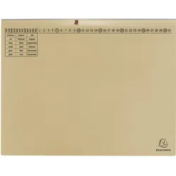 Exacompta, Mappe, 25 Hängehefter Exaflex Karton chamois 2 x kaufmännische Heftung (A4, 25x)