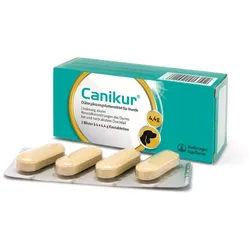 Canikur 12 Kautabletten