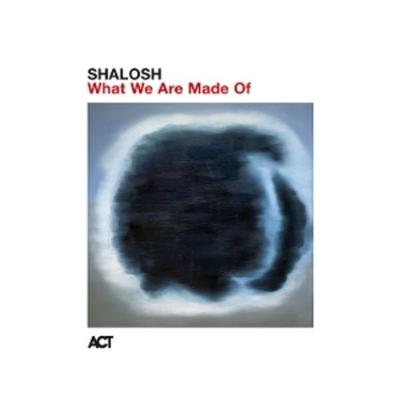 What We Are Made Of (Digipak) - Shalosh, CD