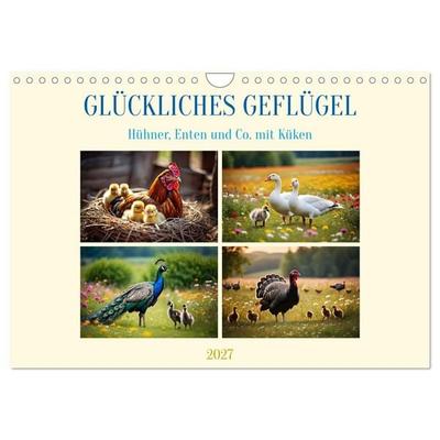 Glückliches Geflügel (Wandkalender 2027 DIN A4 quer), CALVENDO Monatskalender
