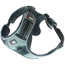 i-DOG Style (S, Hund, Hundesport, Spazieren), Halsband + Leine