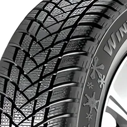 WinterPro 2 195/55 R15 85H  Winterreifen