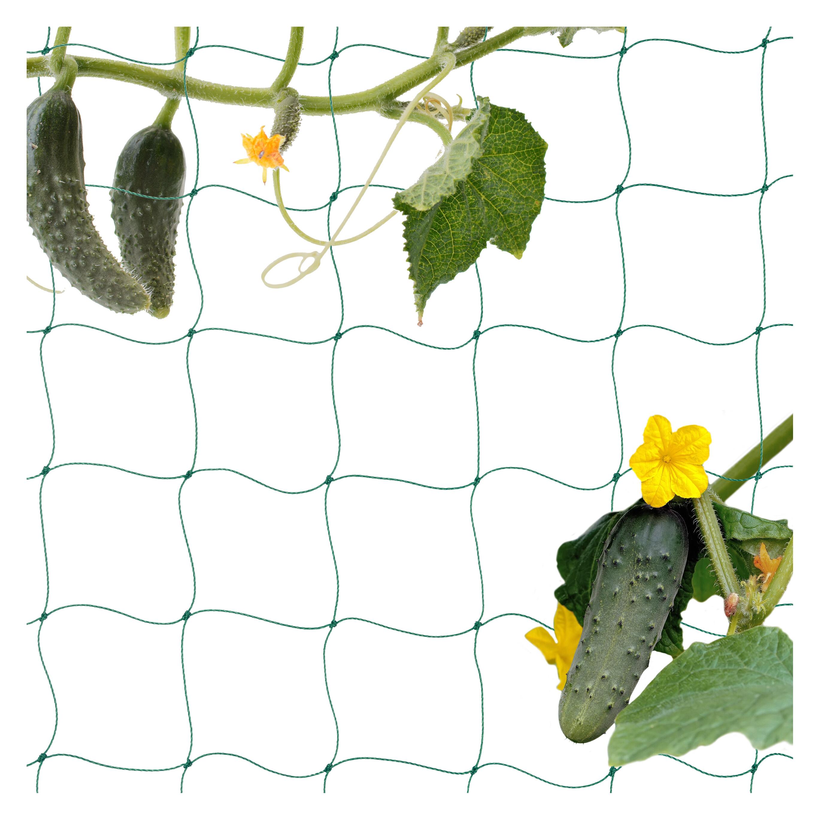 Relaxdays Ranknetz (10 cm, 750 cm) (4052025468729)
