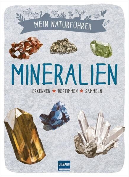 Xavier Japiot - Mein Naturführer - Mineralien - Preis vom 11.10.2026 15:43:13 h