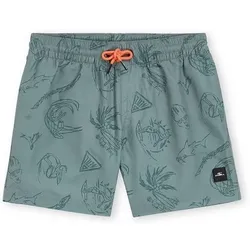 O'NEILL Kinder Badehose MIX & MATCH CALI PRINT 13'' SWIM SHORTS, Größe 152 in Grün Grün