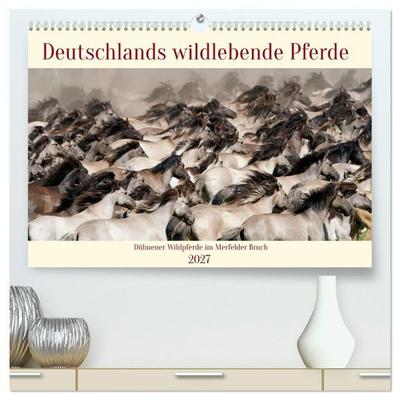 Deutschlands wildlebende Pferde (hochwertiger Premium Wandkalender 2027 DIN A2 quer), Kunstdruck in Hochglanz
