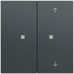 Gira 517573 Taster Wippe 2f unbedruckt/Pfeile OneKNX System 70 Anthrazit(lack.)