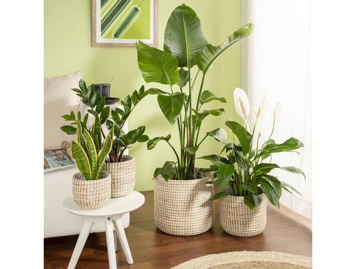Vase à plantes 32/513 Ø 31cm Blanc