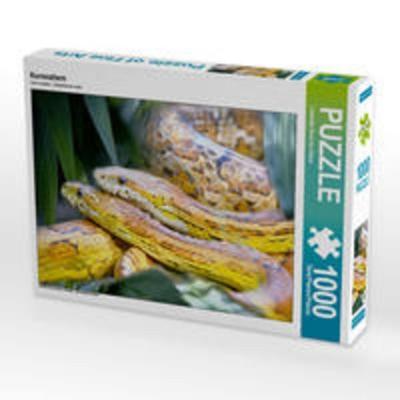 CALVENDO Puzzle Kornnattern 1000 Teile Lege-Größe 64 x 48 cm Foto-Puzzle Bild von Liselotte Brunner-Klaus
