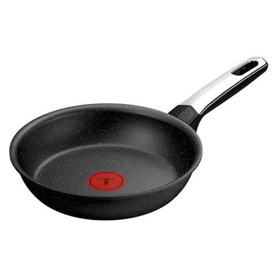 Tefal Frying pan EXPERTISE PLUS, Ø 20 cm, stainless steel (Edelstahl, 20 x 7.70 cm) (G3330243)