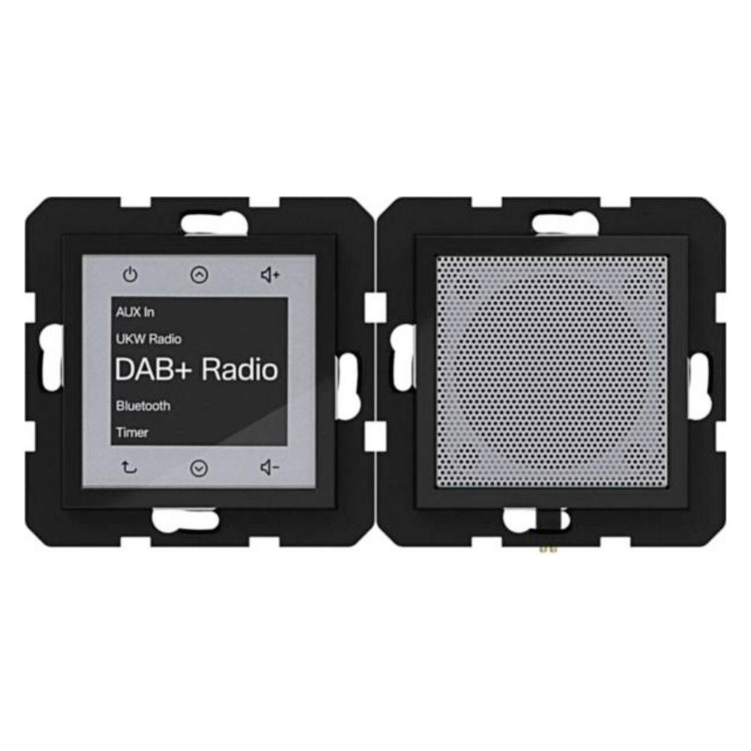 Hager WAN6110BG (DAB+, Bluetooth) (WAN6110BG)