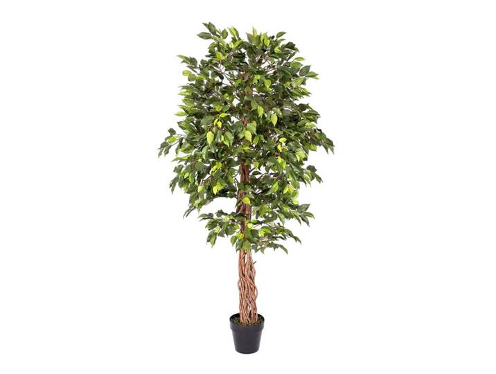 KUNSTBAUM Ficus benjamini, 180 cm