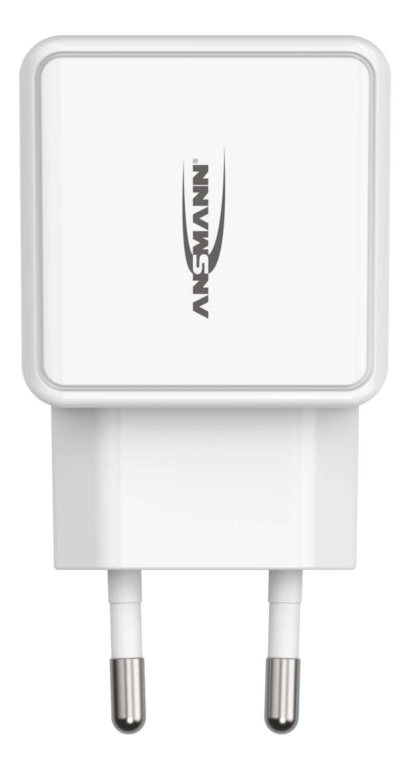 Ansmann 12 W Ladegerät Home Charger HC212 (Weiß) 1001-0114