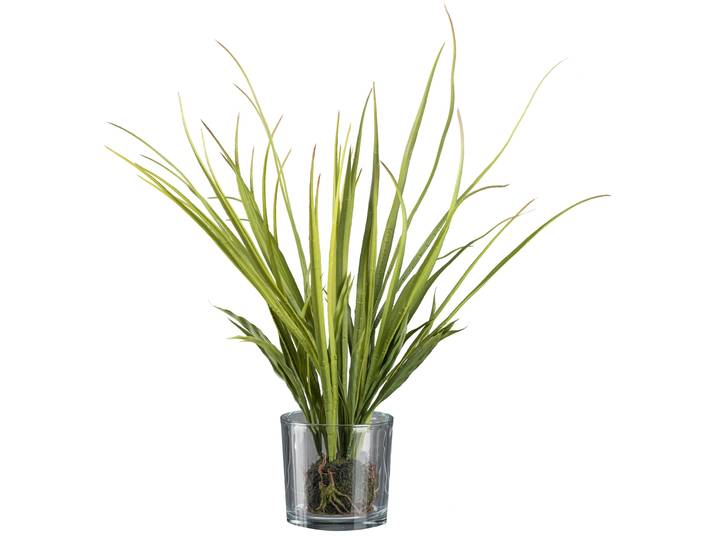 Kunstgras CREATIV GREEN Wiesengras im Ballen und mit Glas , grün, H:50cm, Obermaterial: 100% Polyethylen, Kunstpflanzen, Kunstgras