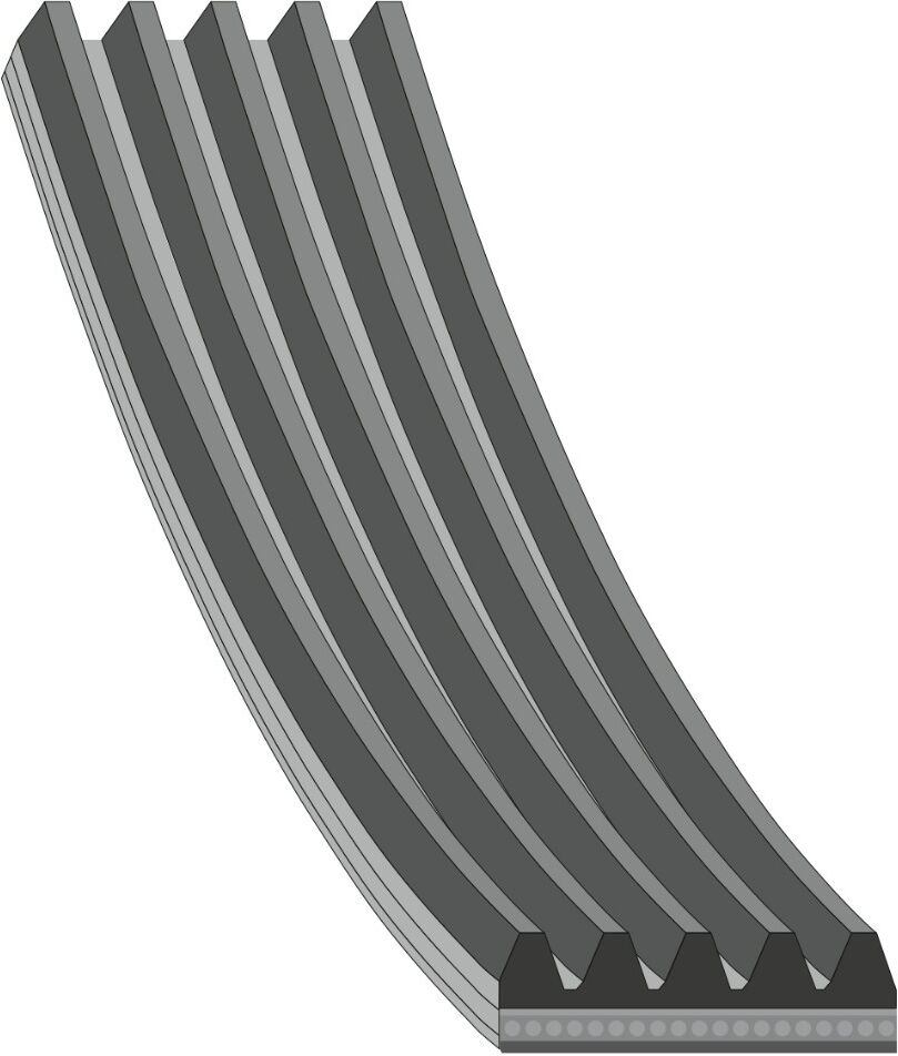 FEBI BILSTEIN 28857 Serpentine belt