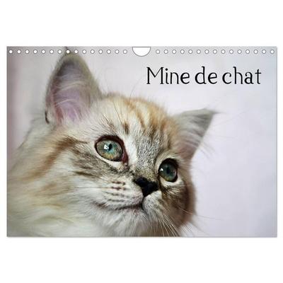 Mine de chat (Calendrier mural 2027 DIN A4 vertical), CALVENDO calendrier mensuel