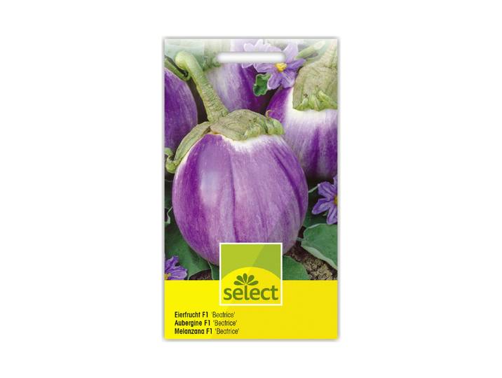 Select Aubergine Beatrice
