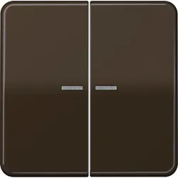 Jung Wippe Lichtleiter br CD 595 KO5 BR CD595KO5BR