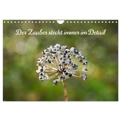 Der Zauber steckt immer im Detail (Wandkalender 2027 DIN A4 quer), CALVENDO Monatskalender