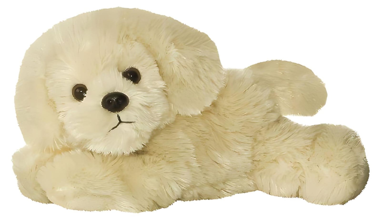 Aurora MF BAILIE Golden Retriever 26012
