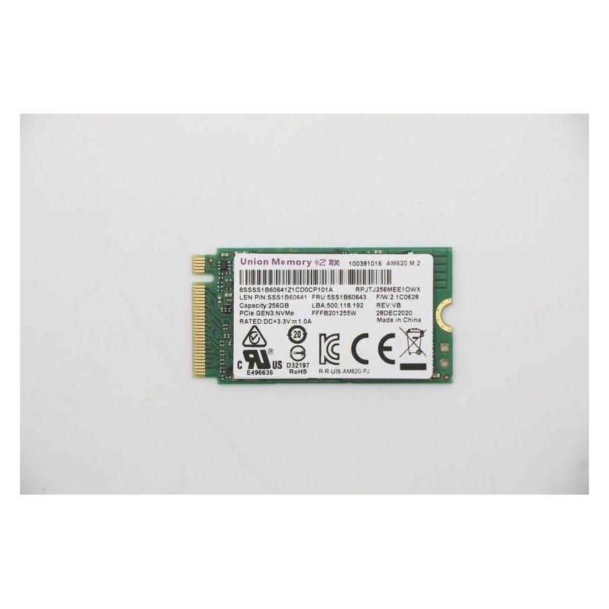 Lenovo UMIS AM620 256GB PCIe 2242 (256 GB, M.2 2242) (5SS1B60643)