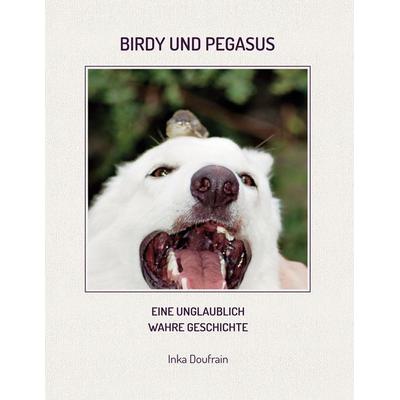 Birdy & Pegasus, Gebundene Ausgabe von Inka Doufrain, BoD – Books on Demand, 978-3-7562-1777-9