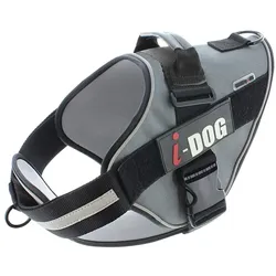 i-DOG NeoCITY (XS, Hund, Allgemein), Halsband + Leine