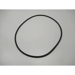 Cleancraft O-Ring FWP 50 Ø197x4mm