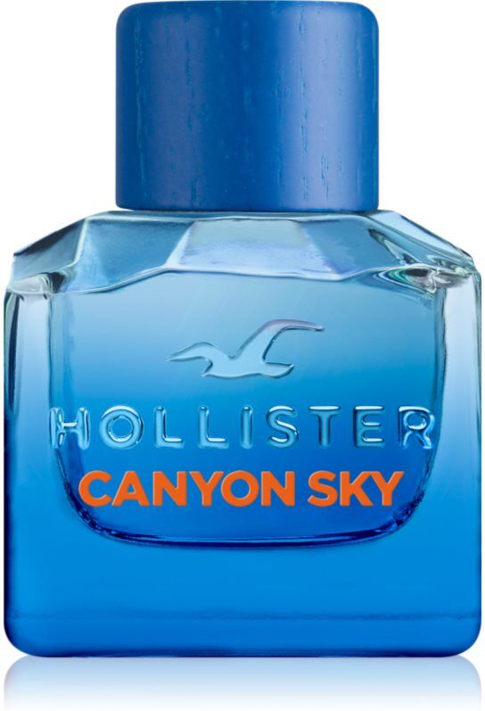 Hollister Canyon Sky For Him Eau de Toilette pour homme 50 ml